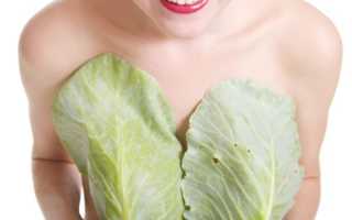 Применение капустного листа при мастопатии
