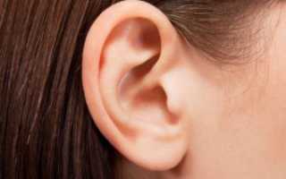 Строение, функции и заболевания наружного уха