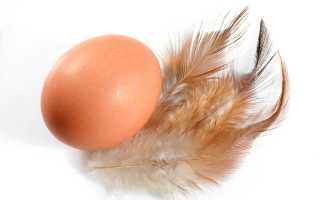 Аллергия на куриные яйца у ребенка и взрослого на лице и теле: фото, симптомы, лечение