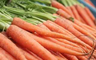 Морковь при лечении гастрита