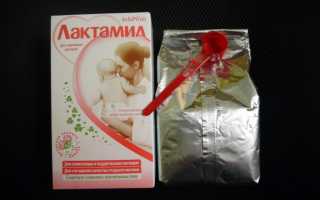 Смесь для лактации Лактамил: что нужно знать кормящей маме